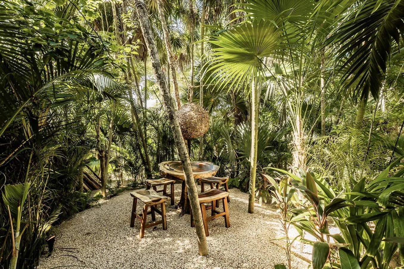 Villa Shadows Of The Wind Soliman Bay Balcheil Mexico