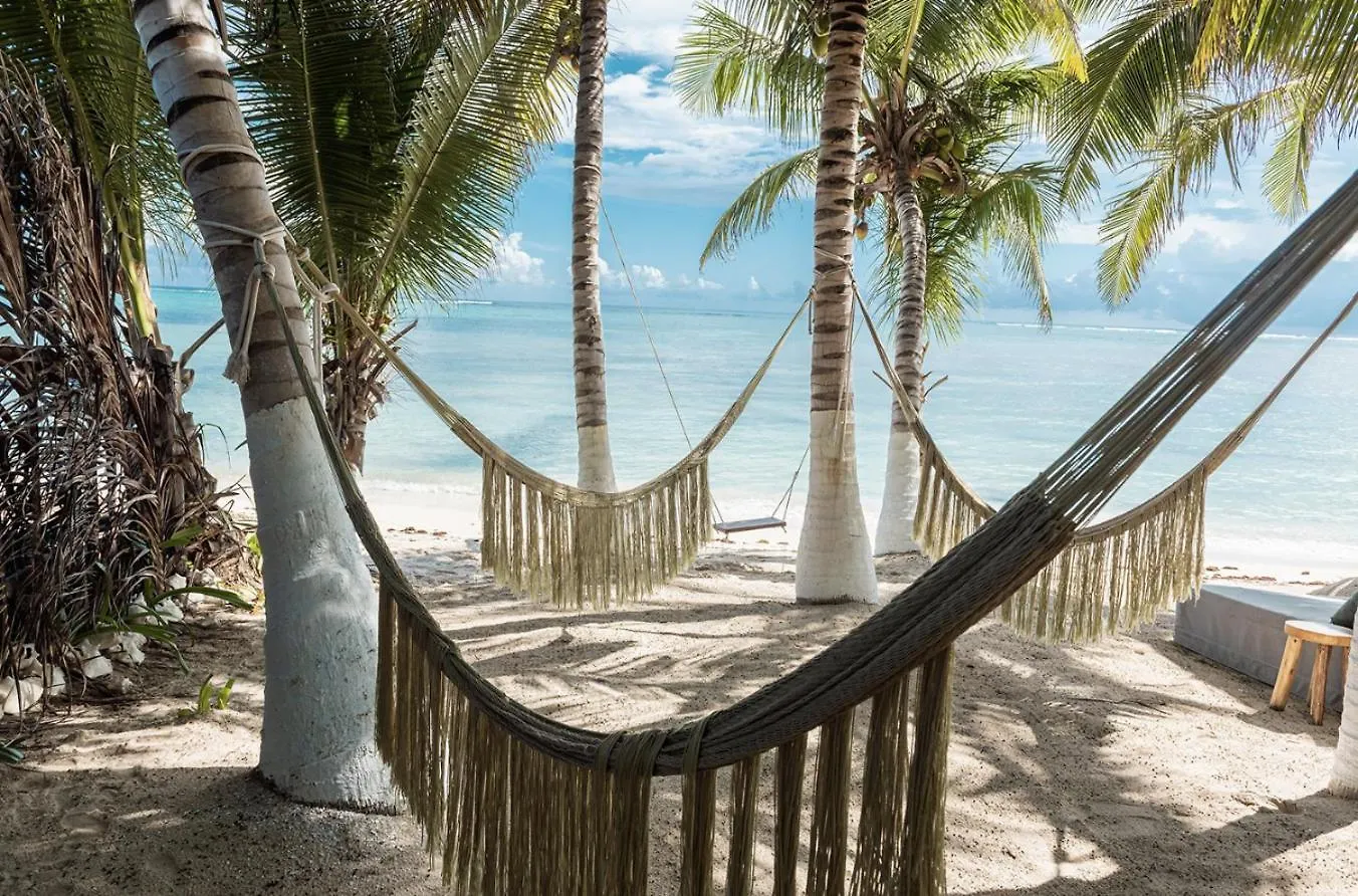 Shadows Of The Wind Soliman Bay Balcheil Mexico